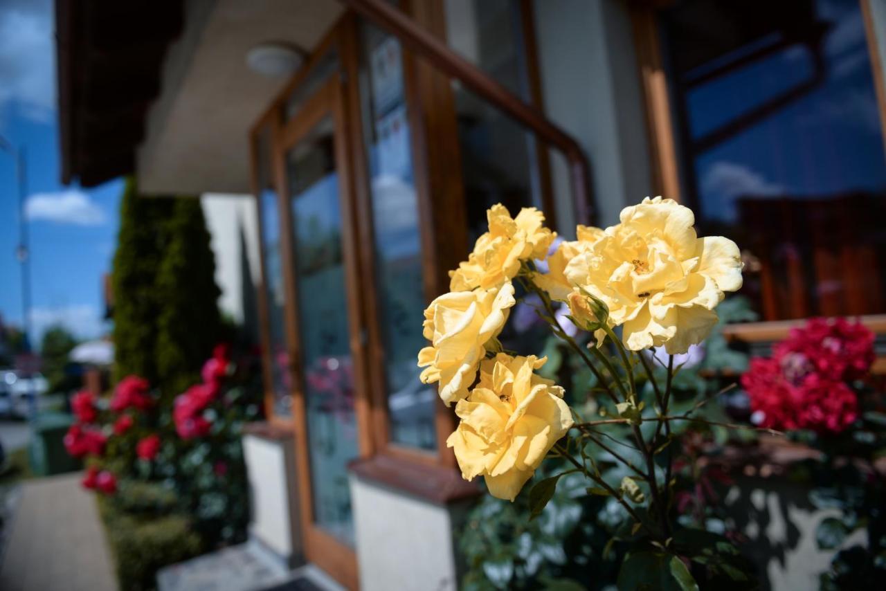 Pension Panorama Одорхею-Секуйеск Экстерьер фото